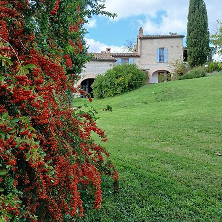 Agriturismo Del Frontino - Lo Studio Акваланга Экстерьер фото
