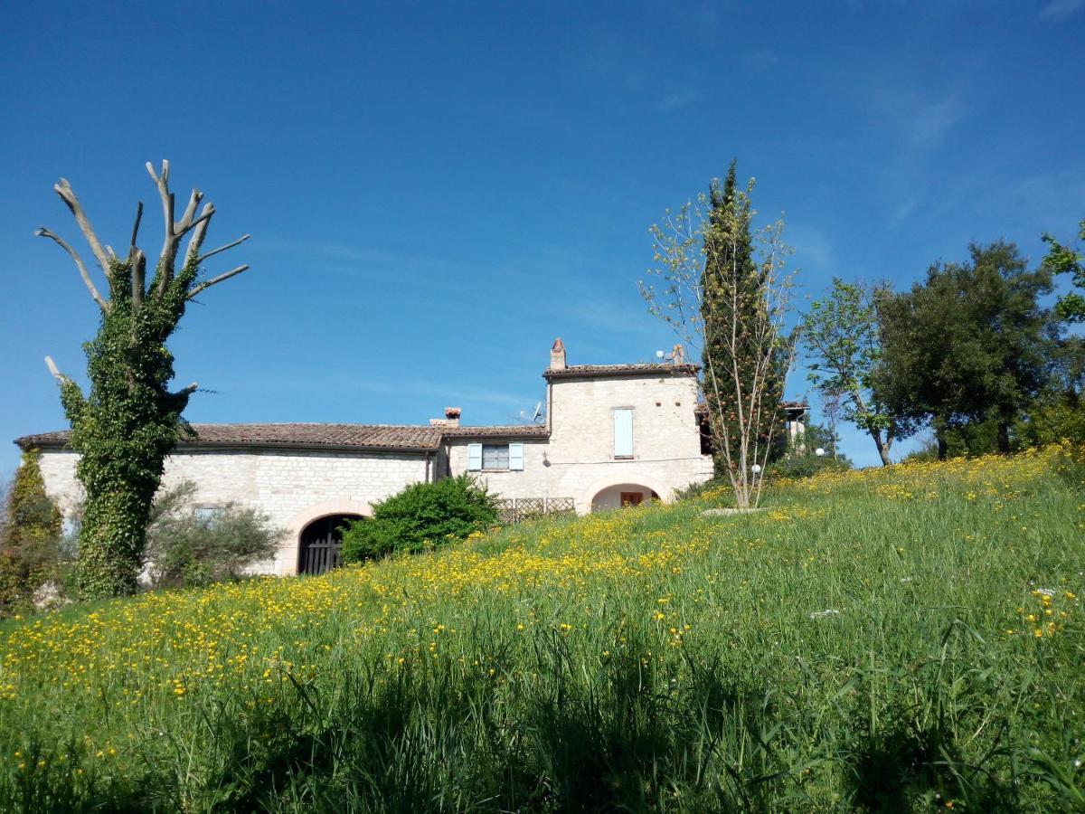 Agriturismo Del Frontino - Lo Studio Акваланга Экстерьер фото