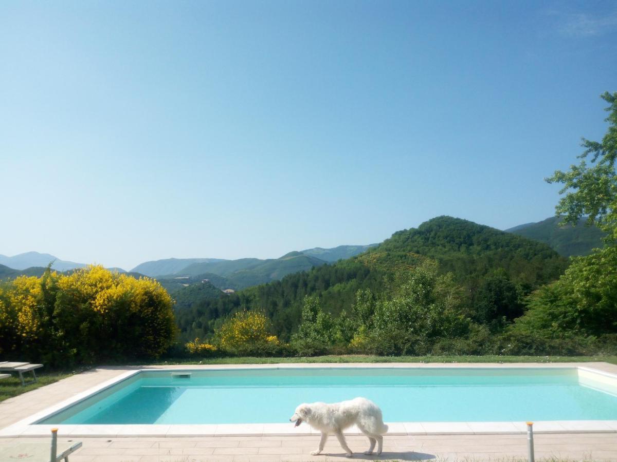 Agriturismo Del Frontino - Lo Studio Акваланга Экстерьер фото