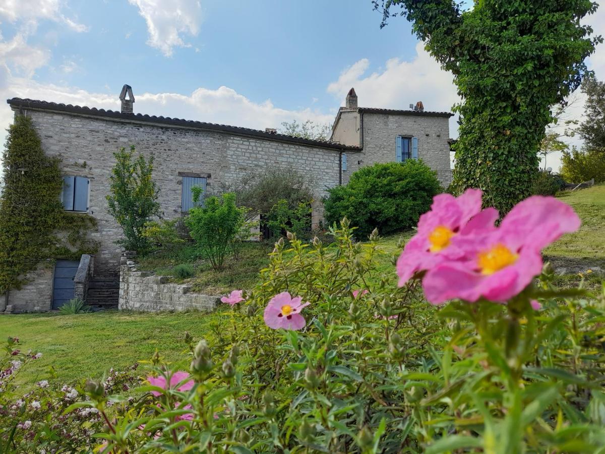 Agriturismo Del Frontino - Lo Studio Акваланга Экстерьер фото