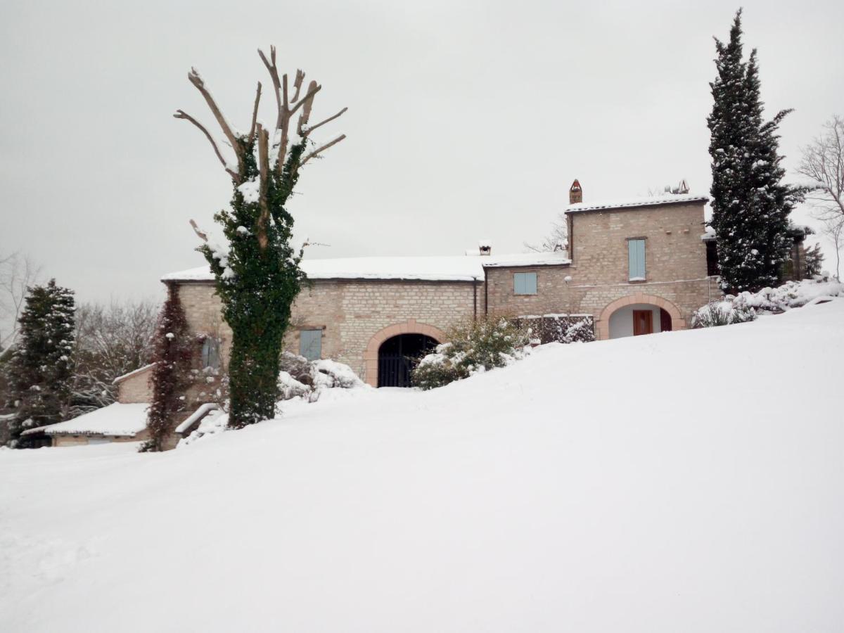 Agriturismo Del Frontino - Lo Studio Акваланга Экстерьер фото