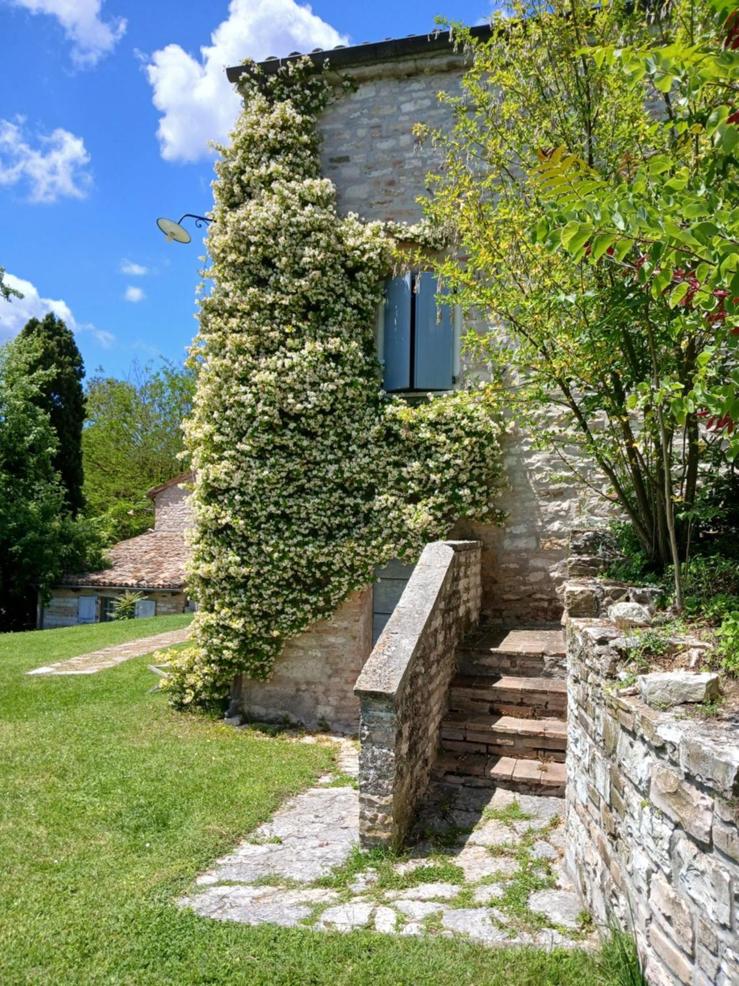 Agriturismo Del Frontino - Lo Studio Акваланга Экстерьер фото