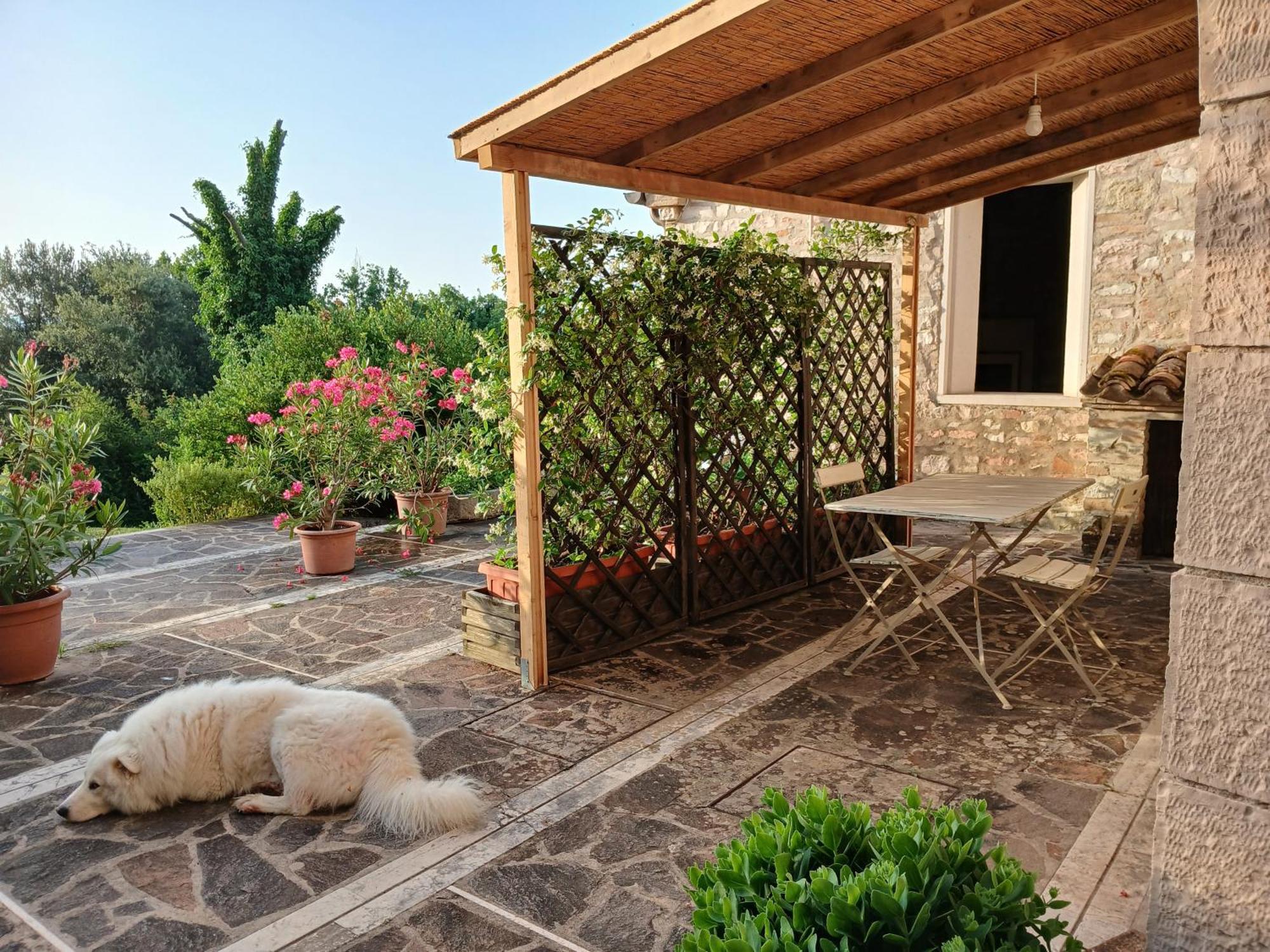 Agriturismo Del Frontino - Lo Studio Акваланга Экстерьер фото
