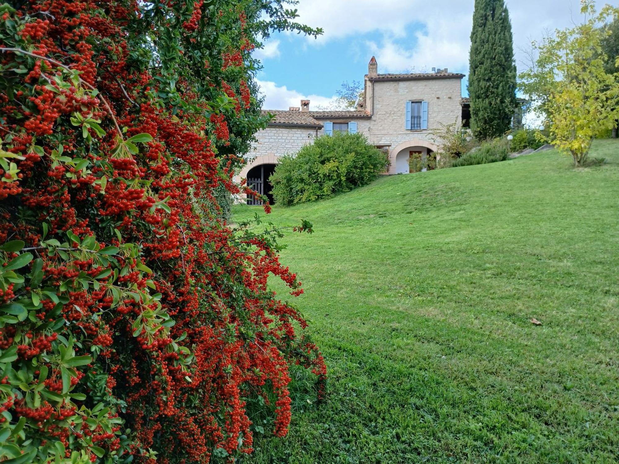 Agriturismo Del Frontino - Lo Studio Акваланга Экстерьер фото